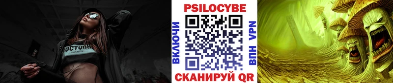 магазин продажи MEGA как войти Галлюциногенные грибы Psilocybine cubensis Лодейное Поле